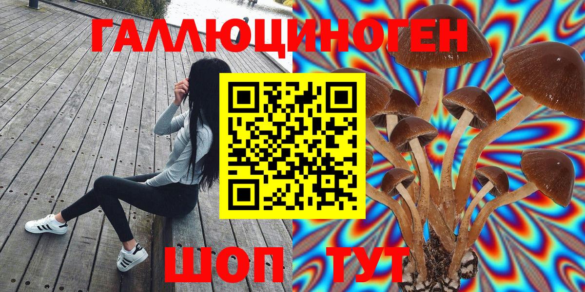 Клинцы  Псилоцибиновые грибы MAGIC MUSHROOMS  Вход с VPN 